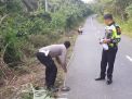 Pasutri di Pulau Rengas Merangin Tewas Ditempat Setelah Laga Kambing dengan Mobil Mitsubishi