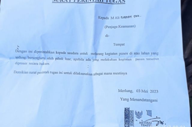 Oknum Mantan Bupati Tanjabbarat Melarang Masyarakat Memanen di Tanah Sendiri