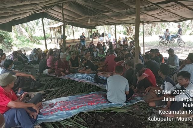 Pendudukan Lahan Oleh Petani di Eks HGU PT.RKK Dipenuhi Tindakan Intimidasi oleh Oknum