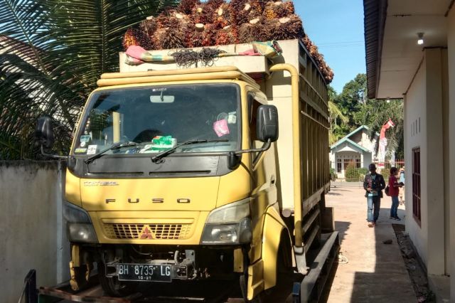 Penangkapan Truk Muatan Sawit dari Betung oleh Polda Jambi Dianggap Tidak Sesuai Ketentuan